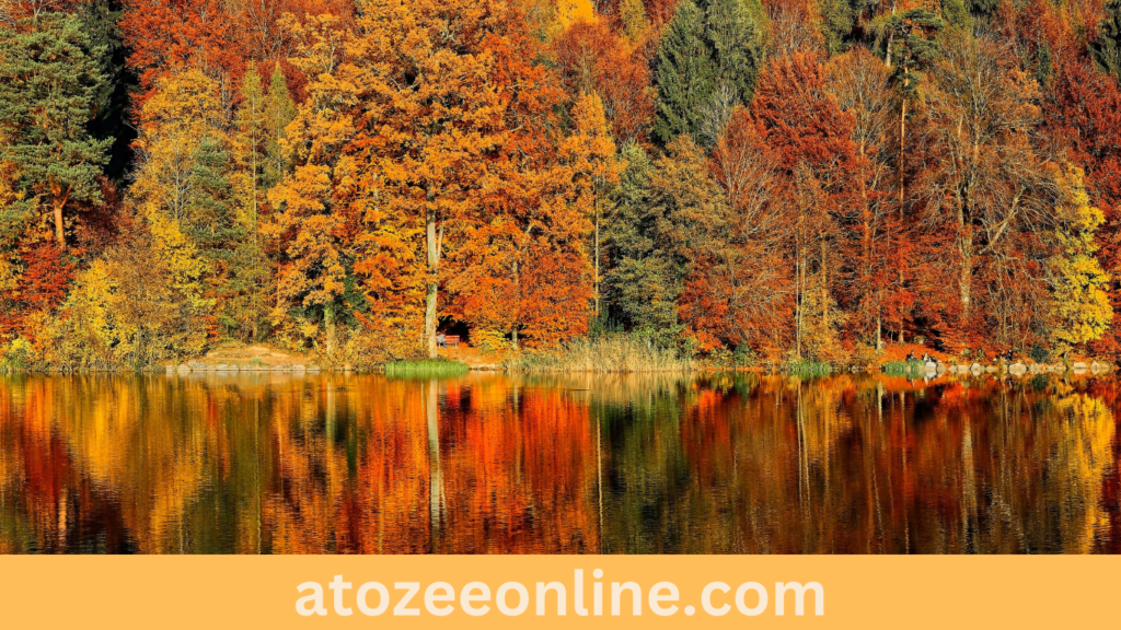 Fall Movies on Netflix