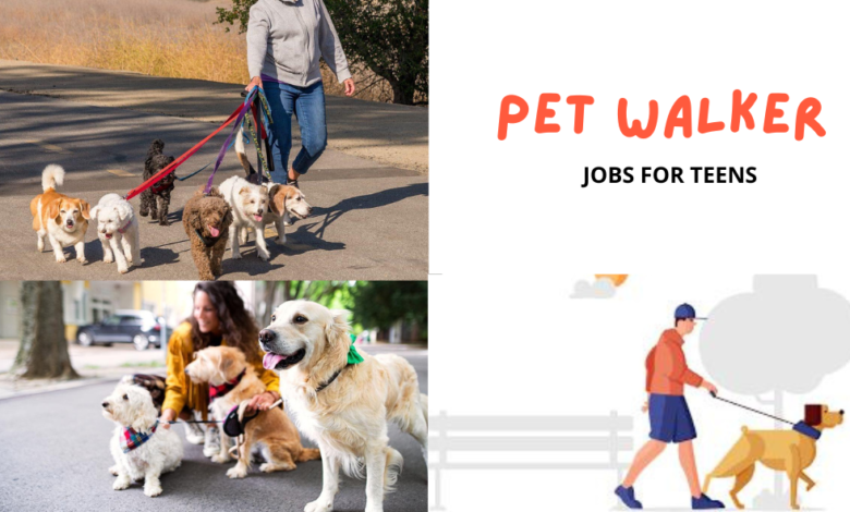 Pet Walker Jobs for Teens