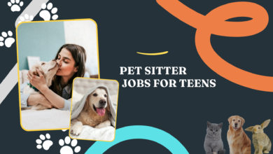 Pet Sitter Jobs for Teens