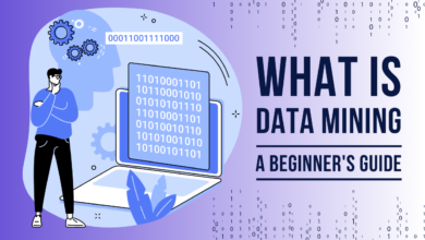 What is Data Mining