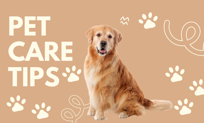 11 Pet Care Tips