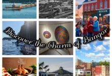 7 Reasons to Discover the Charm of Bangor