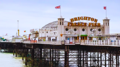 Exploring the City of Brighton and Hove