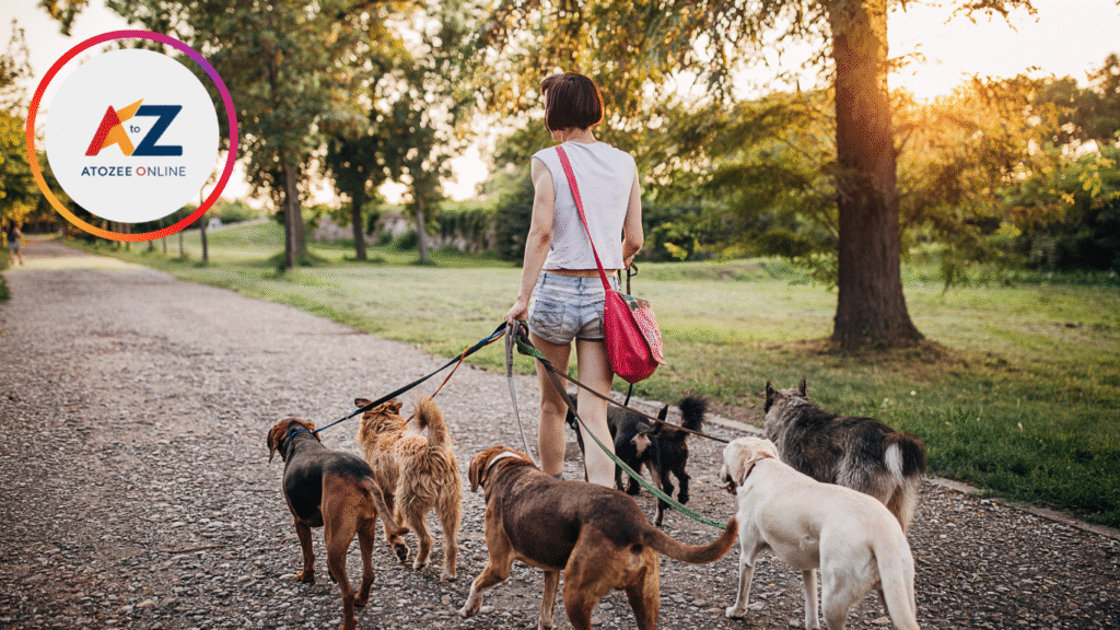 Pet Walker Jobs for Teens