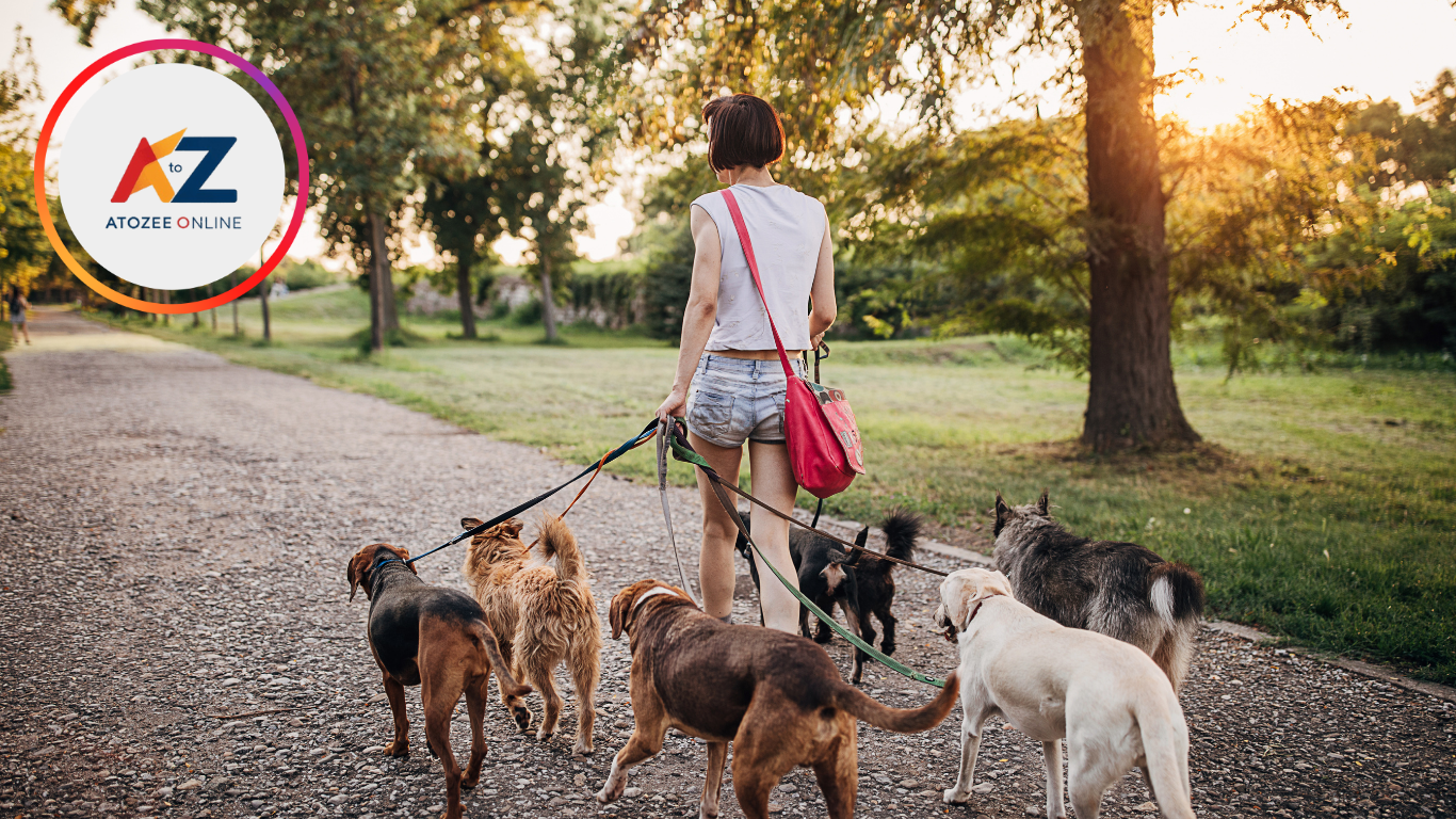 Pet Walker Jobs for Teens