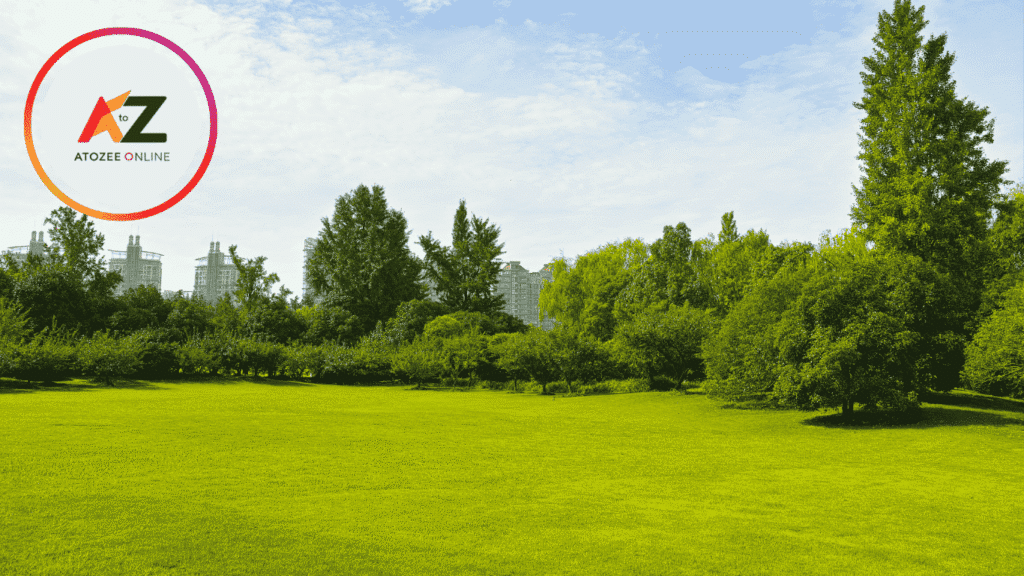 How to Do Land Loan Calculator