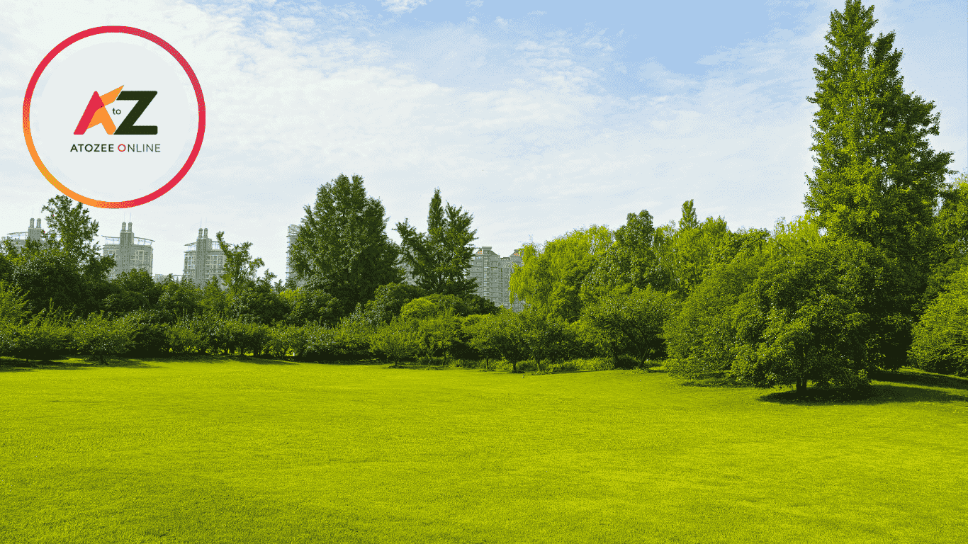 Land Loan Calculator