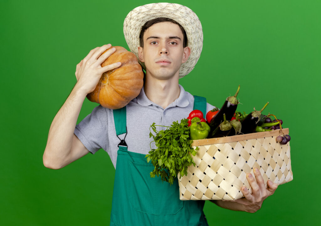 Grocery Bagger Jobs