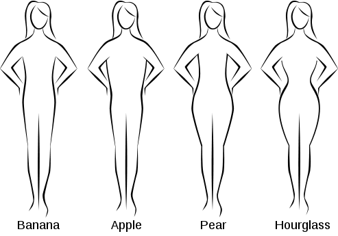 Body Shape Calculator 